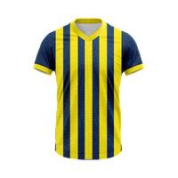 Sarı Lacivert V Yaka Tam Çubuklu Taraftar Forması